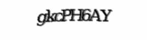 Security check image, please type the characters shown